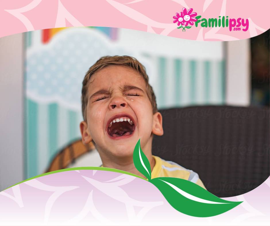 atelier parent enfant crise emotion burn out parental atelier parent enfant crise emotion burn out parental
