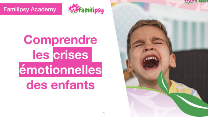 crise enfant colère