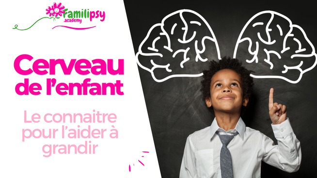 cerveau de l'enfant