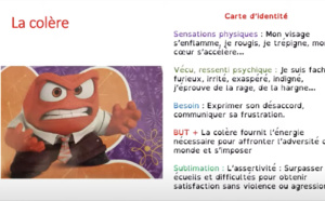 La colère : la comprendre pour mieux gérer les crises