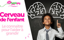 Le cerveau de l'enfant - WEBCONFÉRENCE